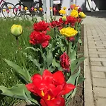 Apartamento Oppiner Strasse 14 Trotha