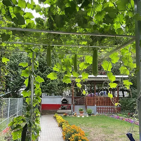 Oppiner Strasse 14 Trotha * Halle (Saale)