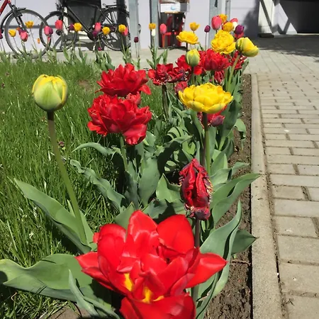 Apartment Oppiner Strasse 14 Trotha