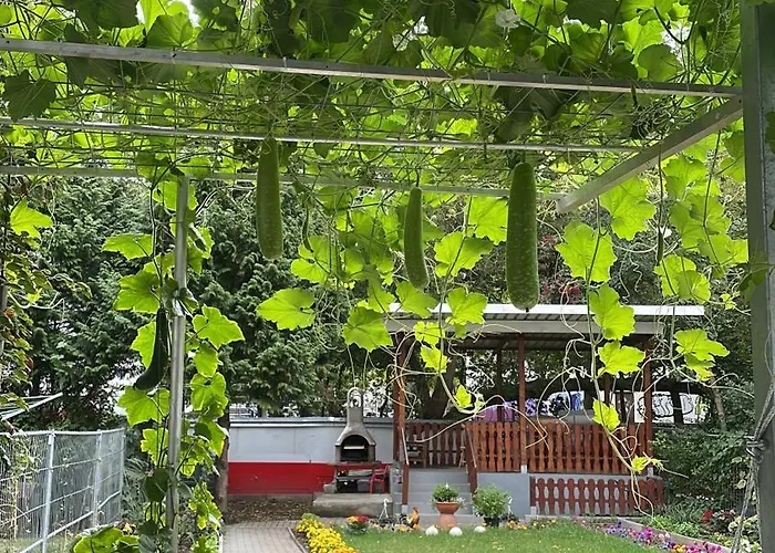 Oppiner Strasse 14 Trotha * Halle (Saale)