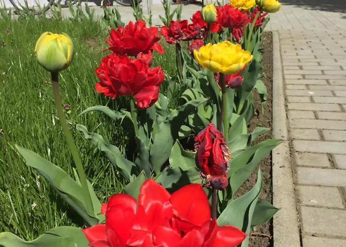 Apartamento Oppiner Strasse 14 Trotha